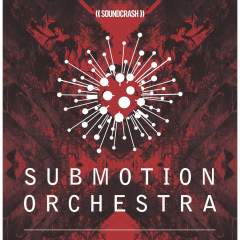 Submotion Orchestra top 50 songs