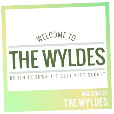 An image for Welcome To The Wyldes