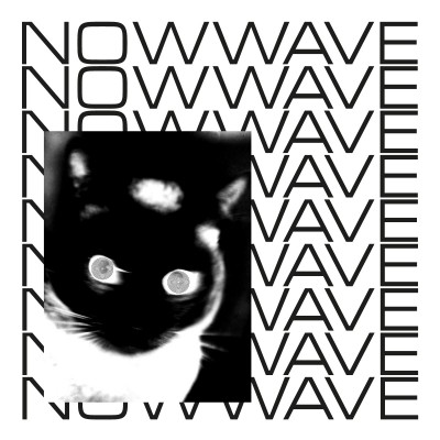 An image for Spotlight On: Now Wave