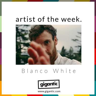 An image for AOTW // Blanco White