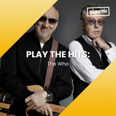Image for Play The Hits: The Who