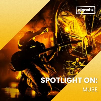 An image for Spotlight On: Muse