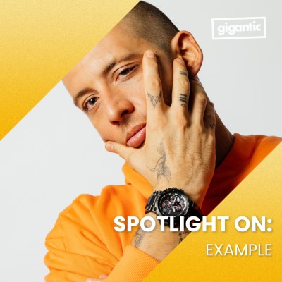 An image for Spotlight On: Example