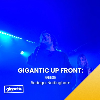An image for Gigantic Up Front: Geese, Nottingham (Review)