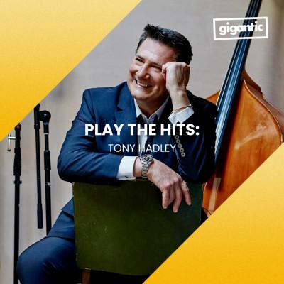 An image for Play The Hits: Tony Hadley