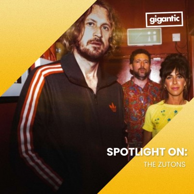 Image for Spotlight On: The Zutons