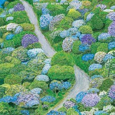 Fiddlehead - Between The Richness (2021) album artwork