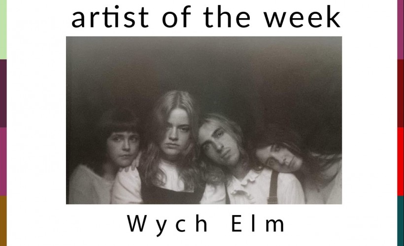 An image for AOTW -- Wych Elm