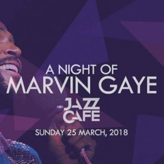 A Night of Marvin Gaye Event Title Pic