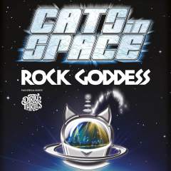 Cats in Space