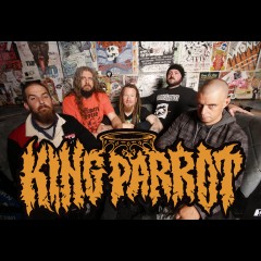 King Parrot