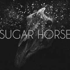 Sugar Horse