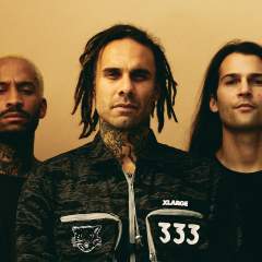 Fever 333 