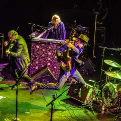 The Waterboys Event Title Pic