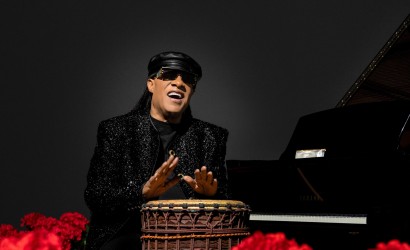 Stevie Wonder