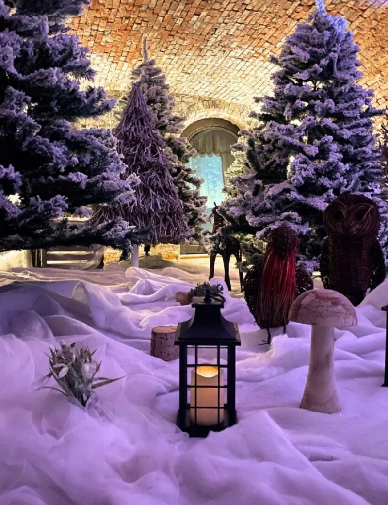 Winter Woodland Santas Grotto tickets