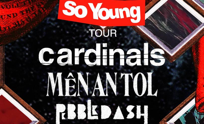 The So Young Tour - Cardinals, Mên An Tol & Pebbledash  at Patterns, Brighton