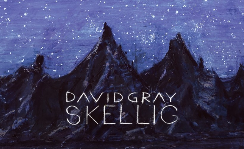  David Gray: Skellig
