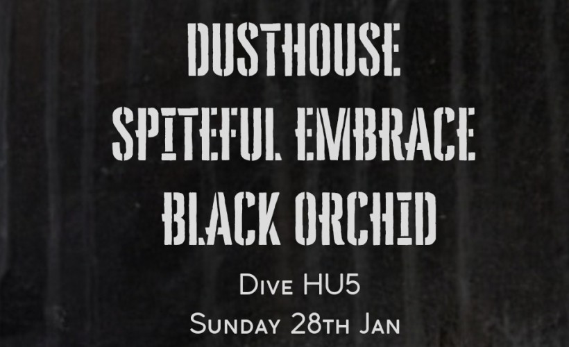Harcore Show with Dusthouse, Spiteful Embrace and Black Orchid.  at Dive Hu5/ higher ground Coffee , Hull