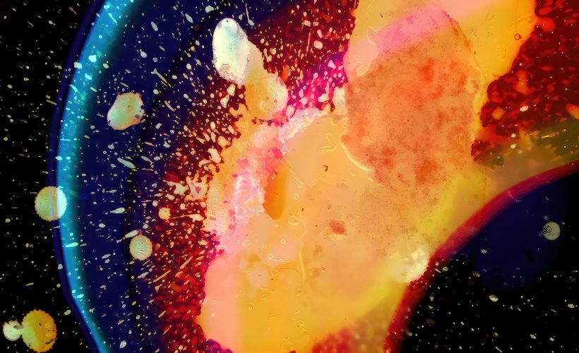 In Rainbows