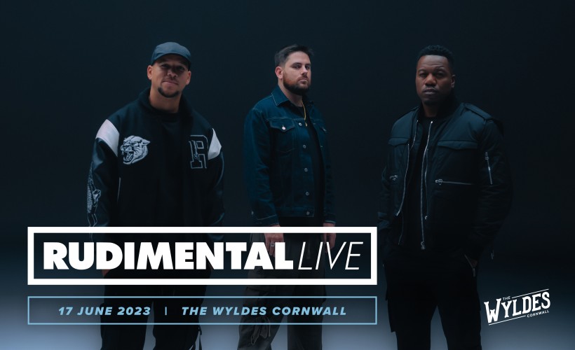 Live In The Wyldes: Rudimental Live