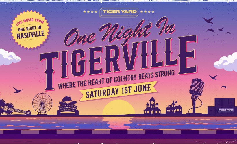 One Night In Tigerville  at Tiger Yard, Cardiff