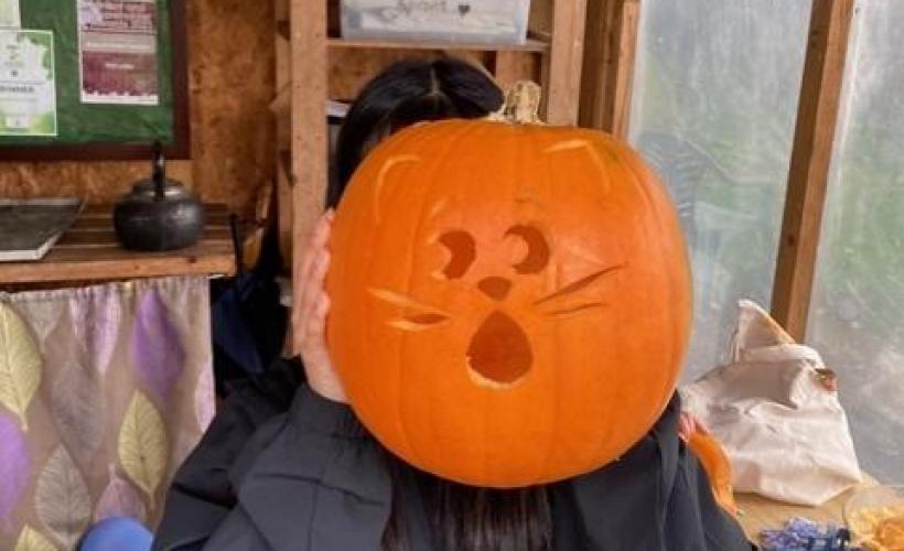 Pumpkin Carving with Windmill Community Gardens tickets