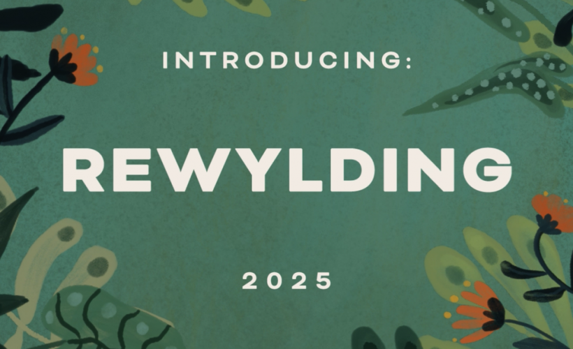Rewylding Series