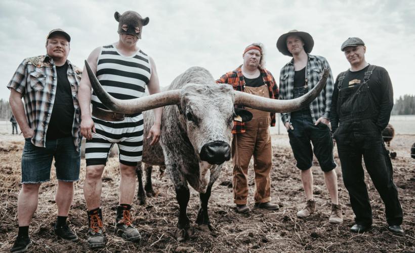 Steve 'n' Seagulls Tickets