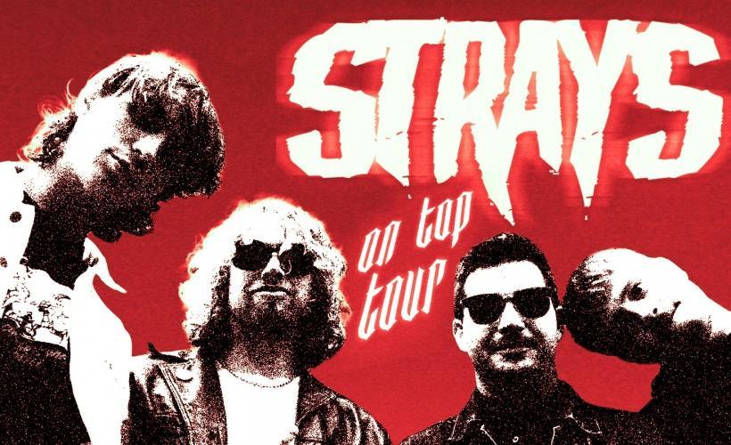 Strays tickets