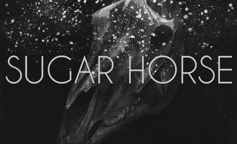 Sugar Horse