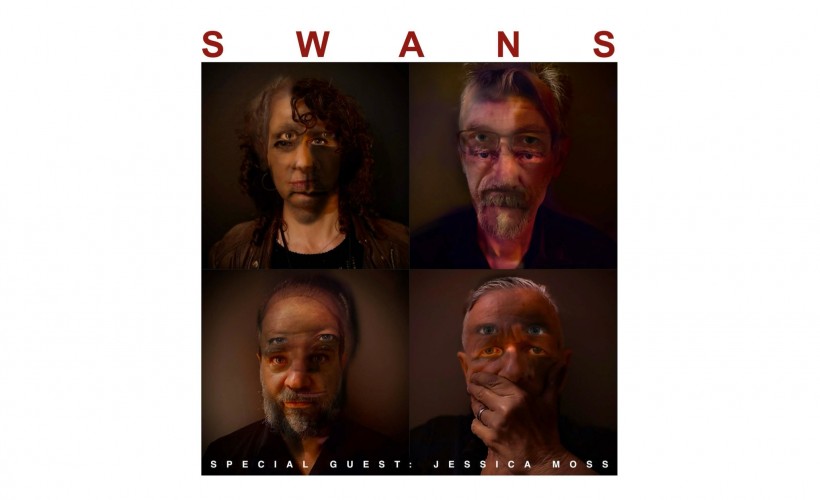 Swans