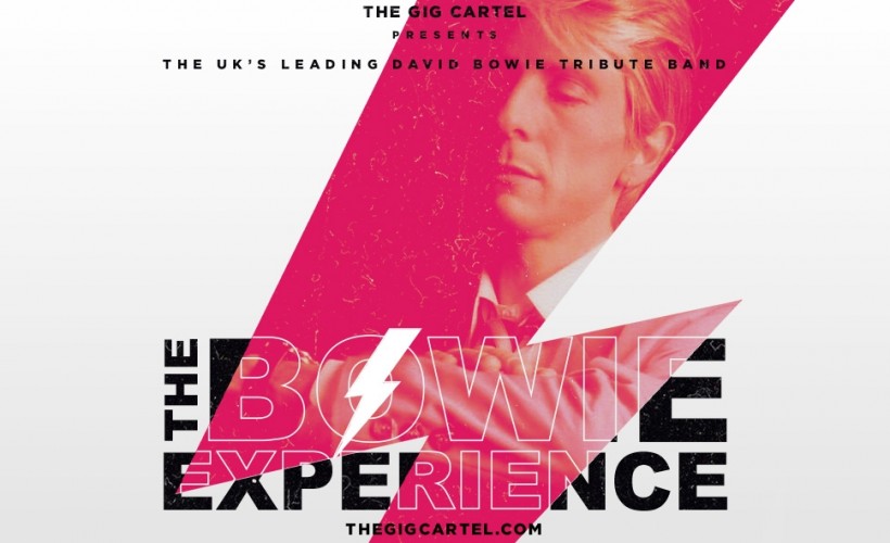 The Bowie Experience  at Docks Academy, Grimsby