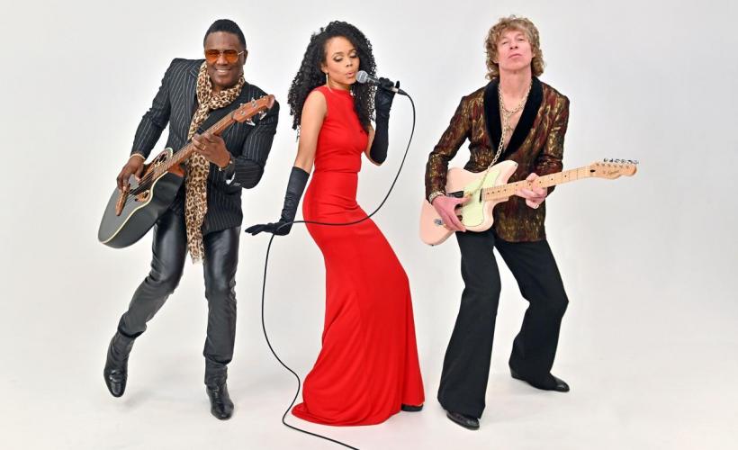 The Brand New Heavies Tickets, Tour Dates & Concerts - Gigantic