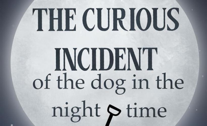 THE CURIOUS INCIDENT OF THE DOG IN THE NIGHT-TIME  (ABRIDGED FOR SCHOOLS) tickets