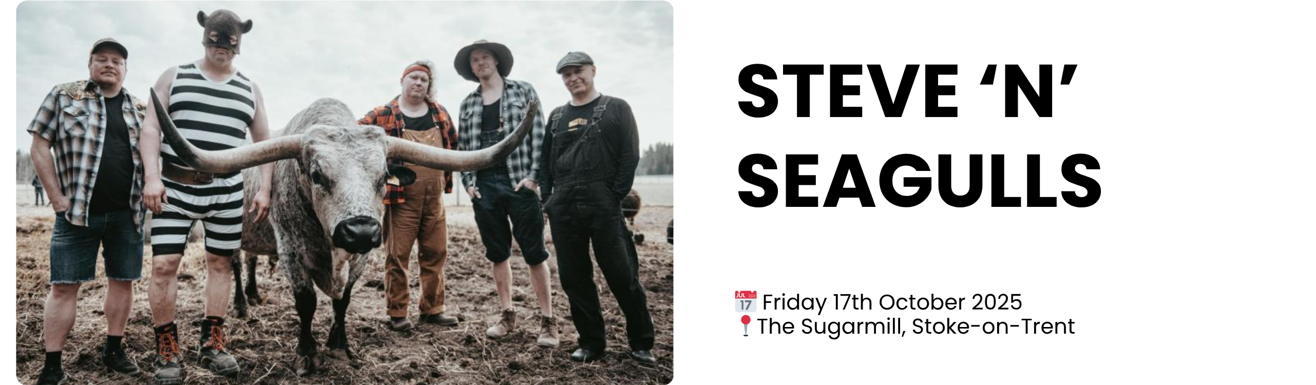 Steve &lsquo;n&rsquo; seagulls  📅 Friday 17th October 2025 📍The Sugarmill, Stoke-on-Trent