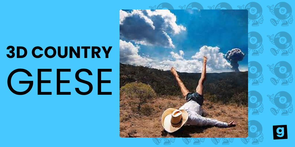 3D COUNTRY - GEESE
