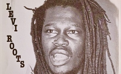 RUM & REGGAE SHOW with LEVI ROOTS  at The Fox and Firkin, London
