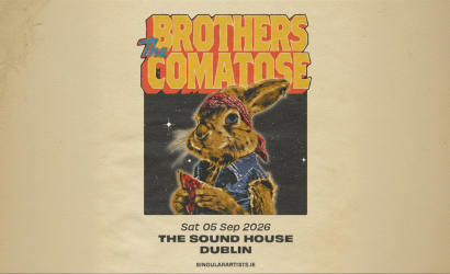The Brothers Comatose  at The Sound House, Dublin