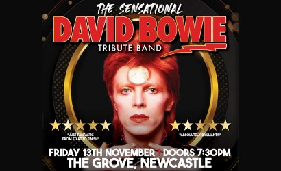 The Sensational David Bowie Tribute Band  at The Grove, Newcastle upon Tyne