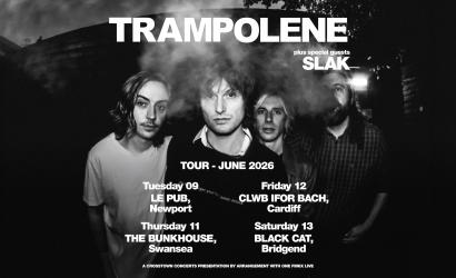 Trampolene  at Le Pub, Newport