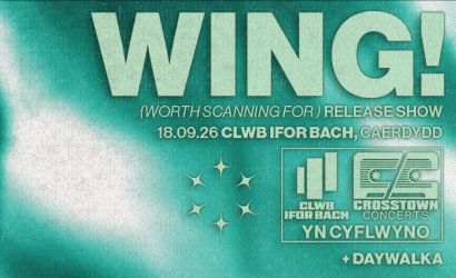 wing!  at Clwb Ifor Bach, Cardiff