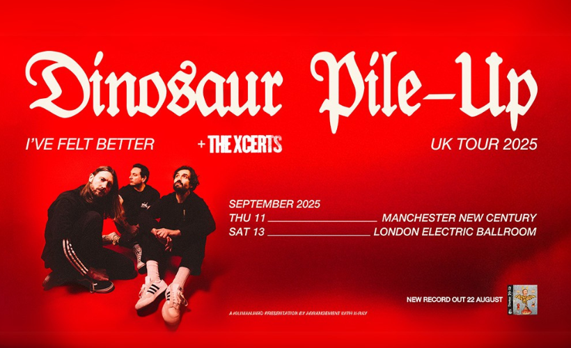  Dinosaur Pile-Up