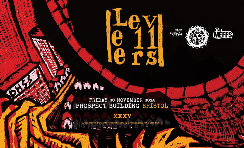Levellers - LTL35  at The Prospect Building, Bristol