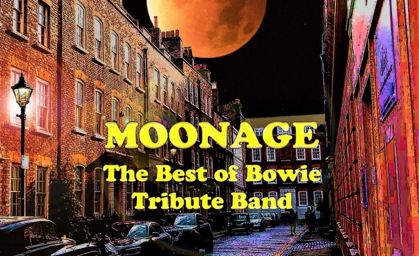 MOONAGE - The Best of Bowie Tribute Band  at The Robin, Wolverhampton