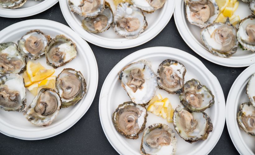 Oyster Shucking with a Falmouth Oysterman - Thursday session tickets