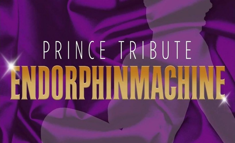 Prince Tribute Endorphinmachine  at The Flowerpot, Derby