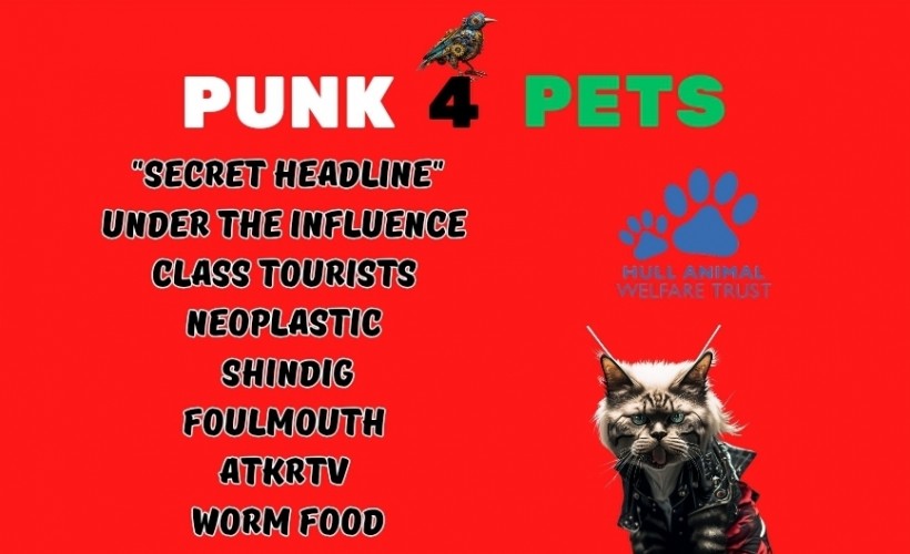 PUNK 4 PETS  at The New Adelphi Club, Hull