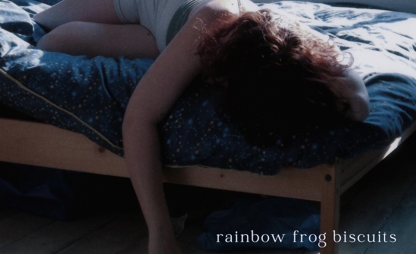 Rainbow Frog Biscuits  at The Grove, Nottingham