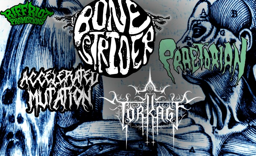 Riffriot promotions presents SONIC WAVES  at Dubrek Studios, Derby